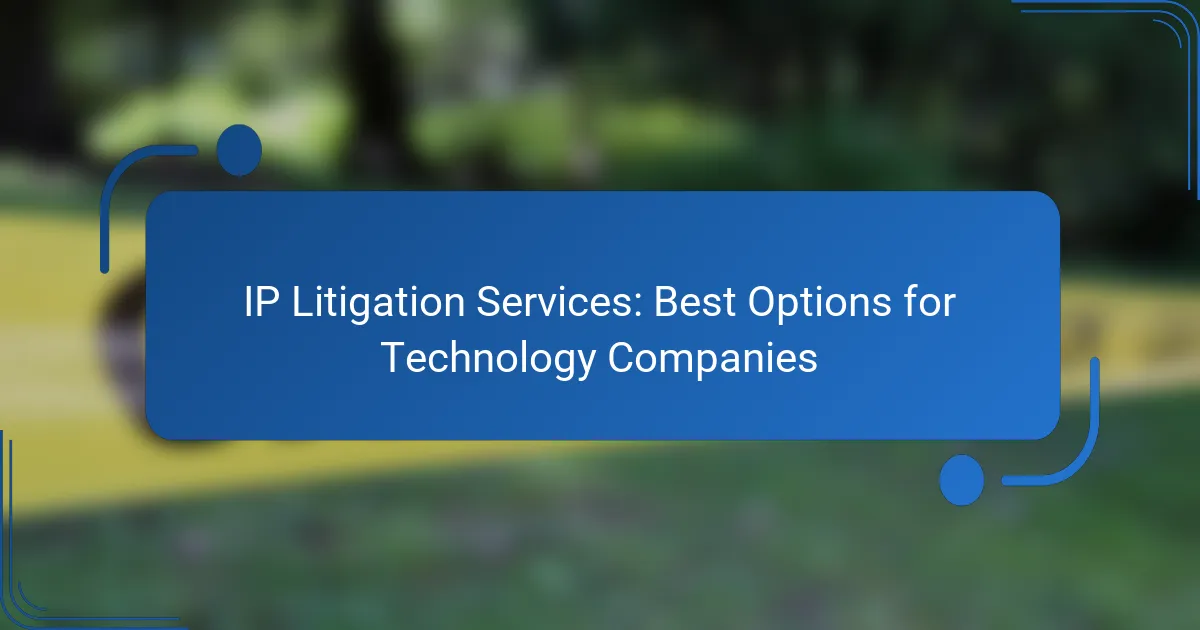 IP Litigation Services: Best Options for Technology Companies
