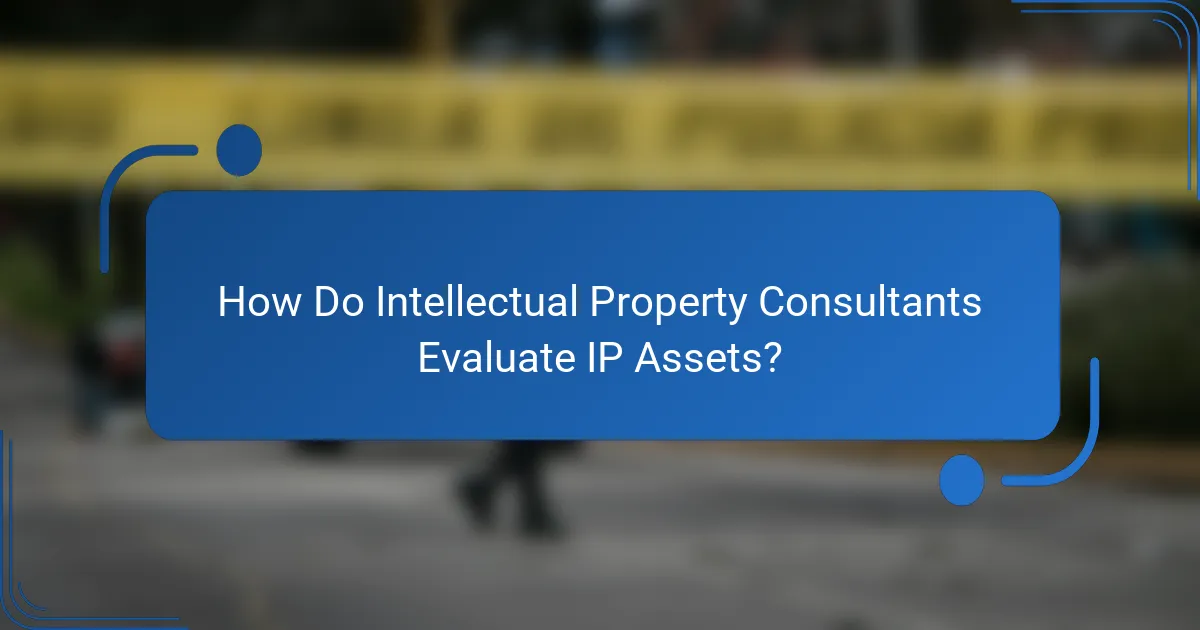 How Do Intellectual Property Consultants Evaluate IP Assets?