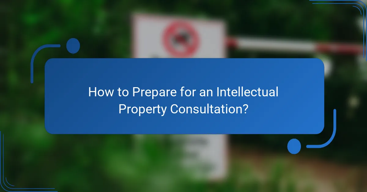 How to Prepare for an Intellectual Property Consultation?