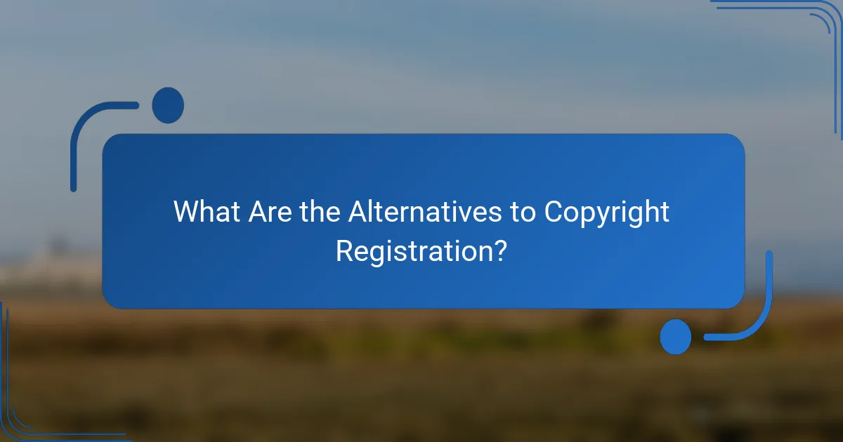 What Are the Alternatives to Copyright Registration?