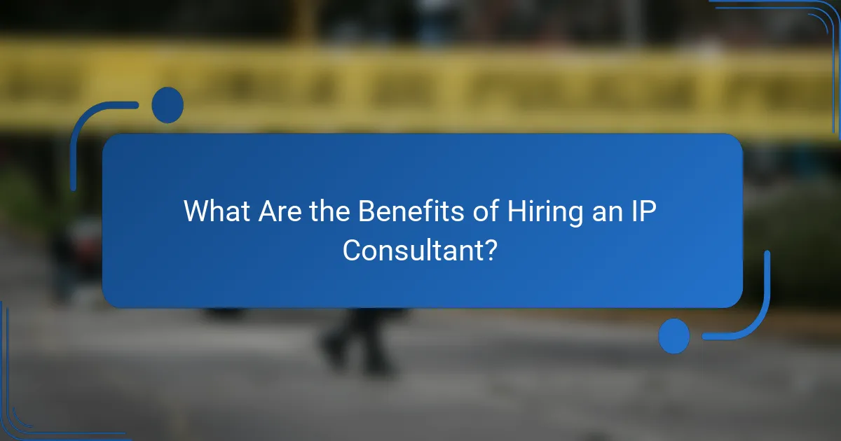 What Are the Benefits of Hiring an IP Consultant?