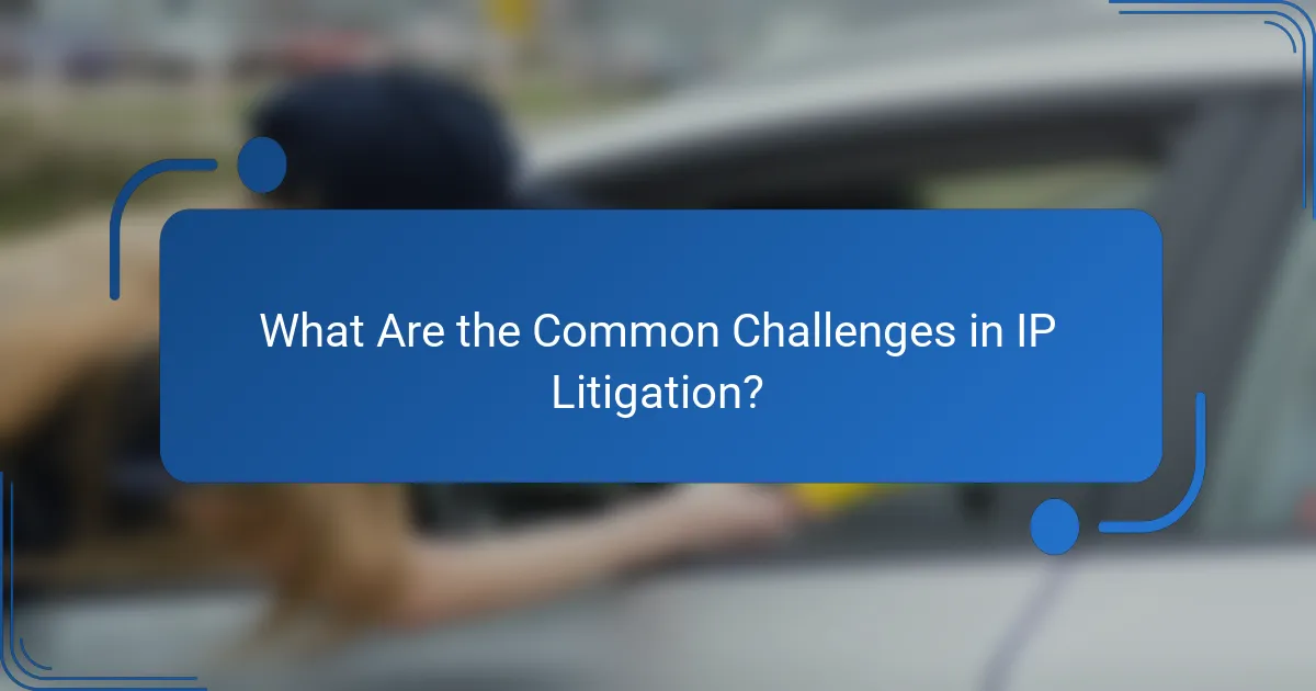 What Are the Common Challenges in IP Litigation?
