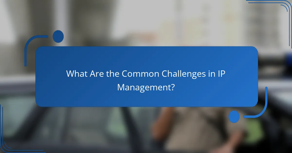 What Are the Common Challenges in IP Management?