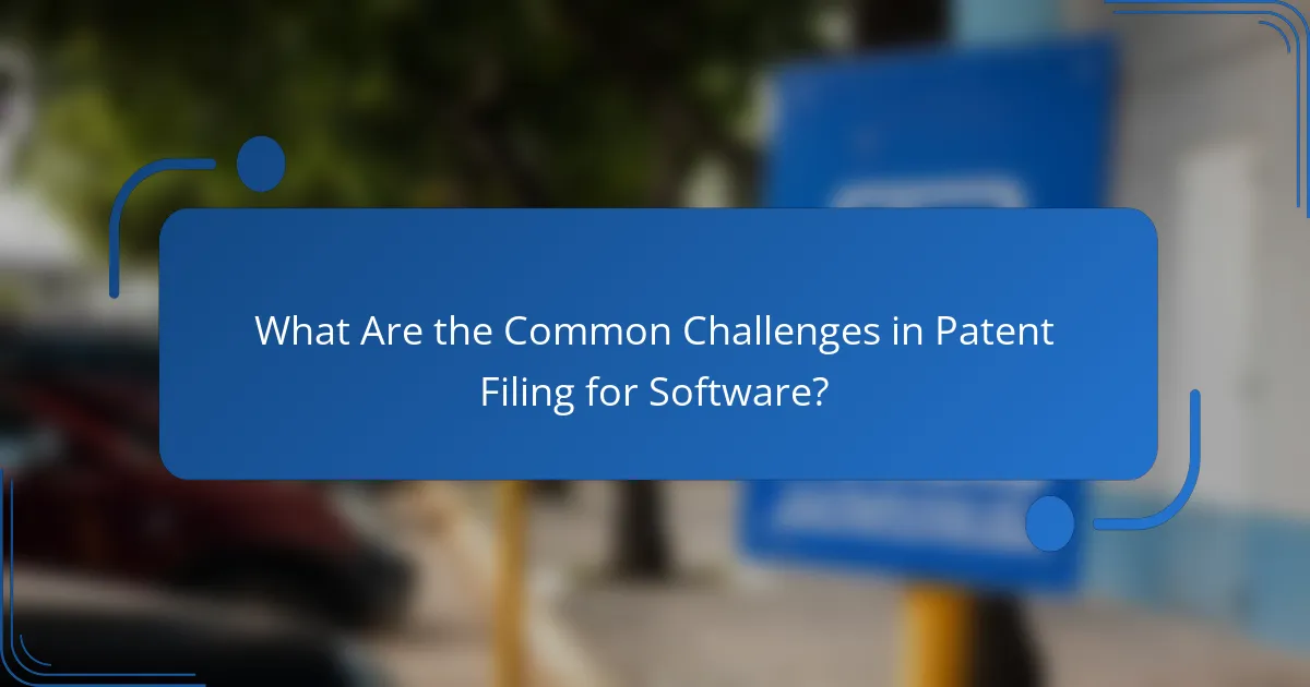 What Are the Common Challenges in Patent Filing for Software?