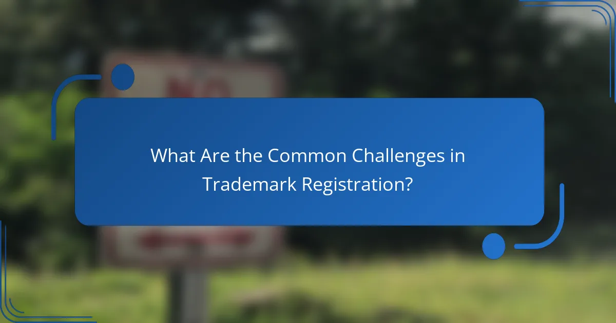 What Are the Common Challenges in Trademark Registration?