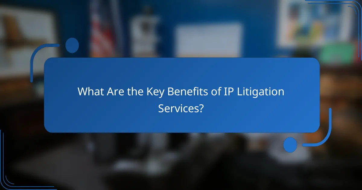 What Are the Key Benefits of IP Litigation Services?