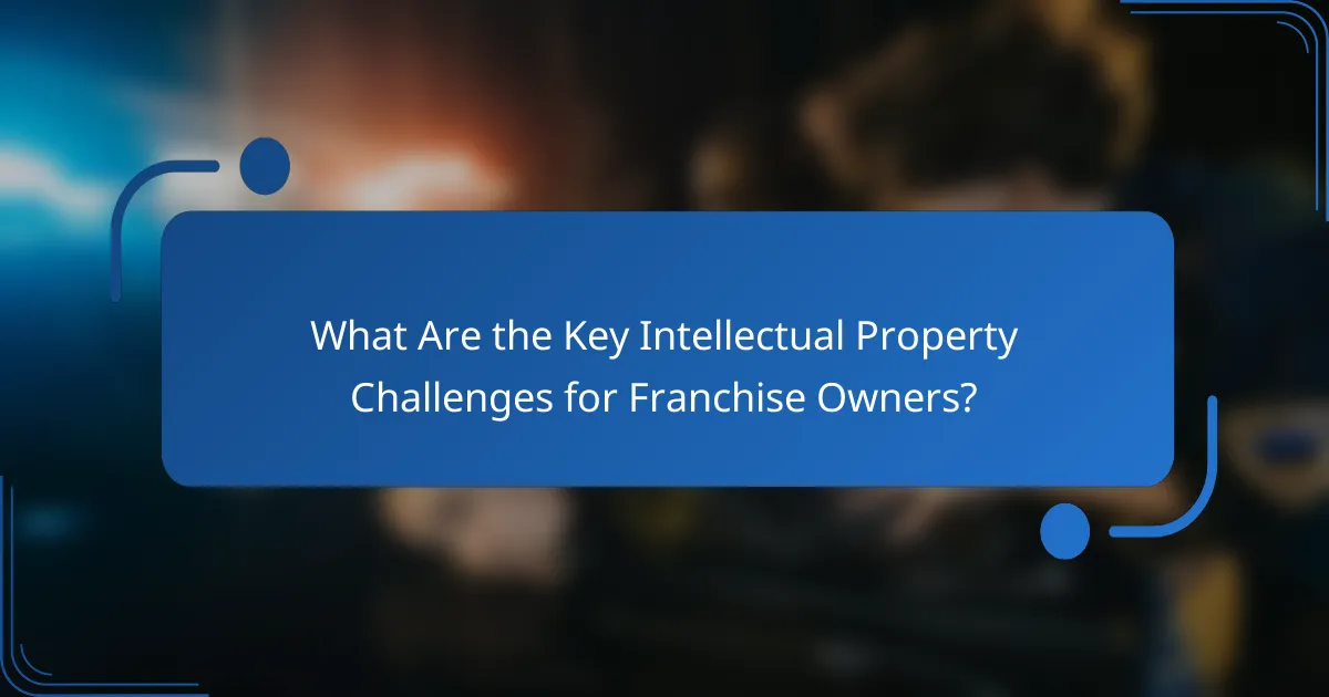 What Are the Key Intellectual Property Challenges for Franchise Owners?
