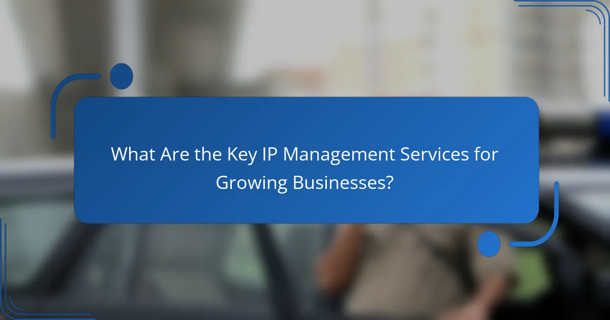 What Are the Key IP Management Services for Growing Businesses?