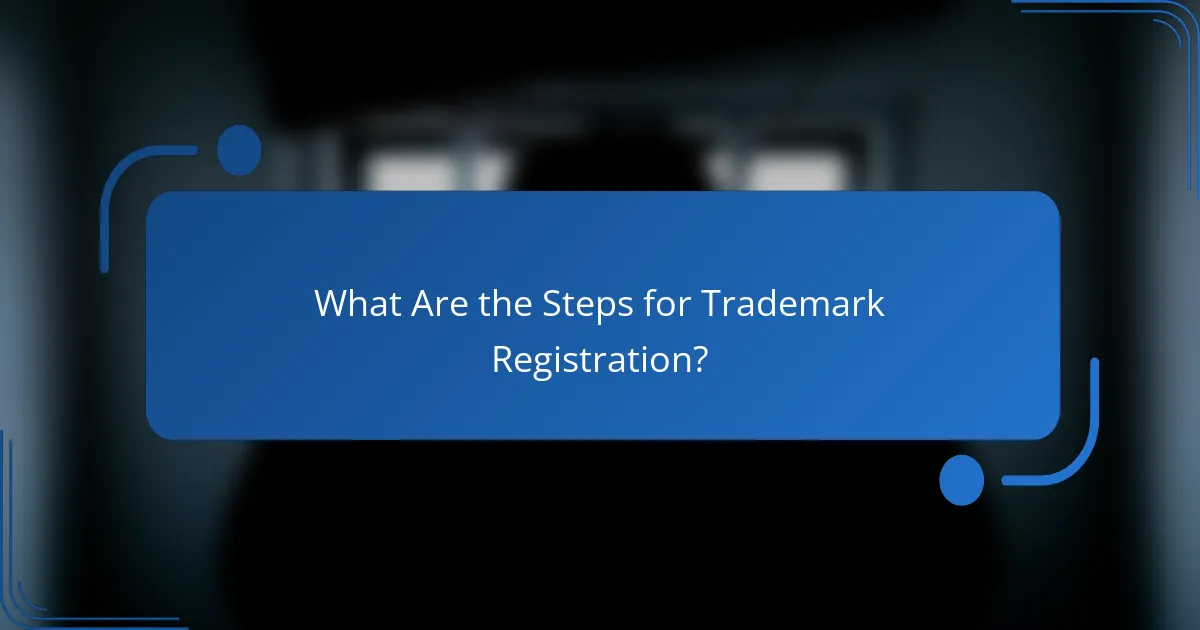 What Are the Steps for Trademark Registration?