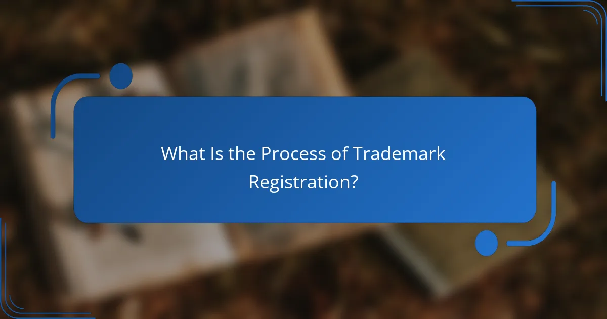 What Is the Process of Trademark Registration?