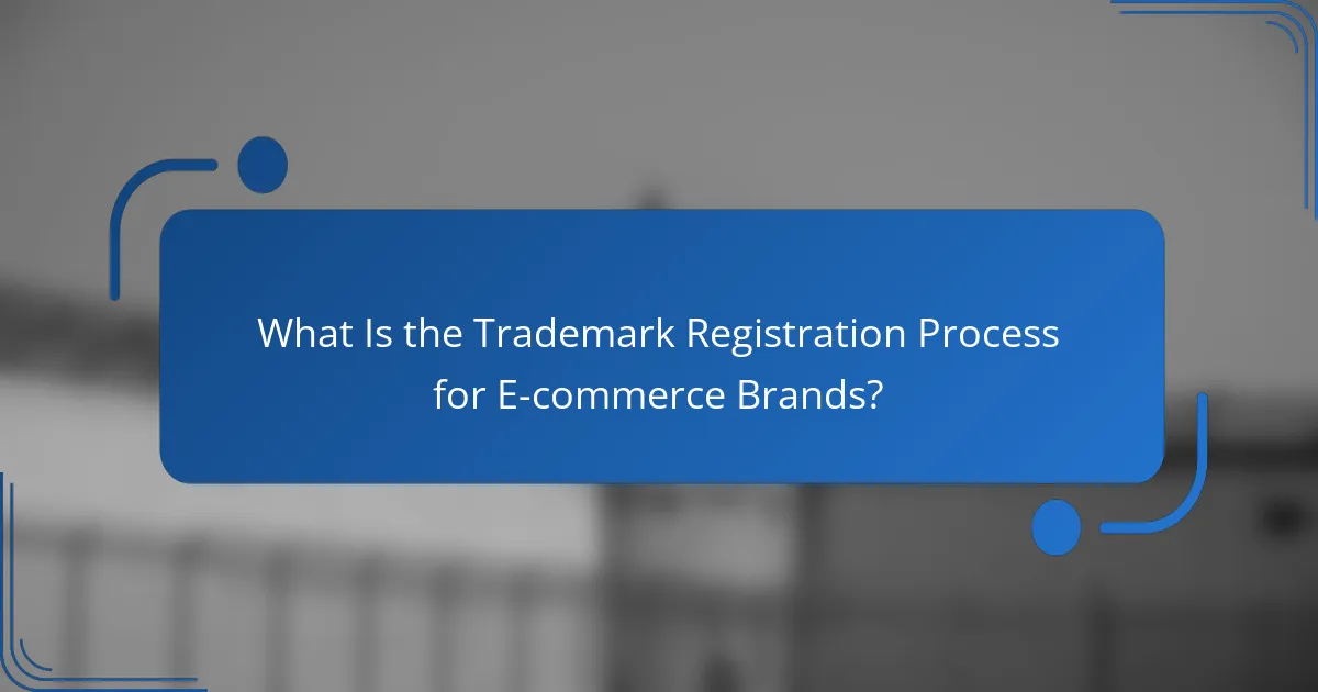 What Is the Trademark Registration Process for E-commerce Brands?