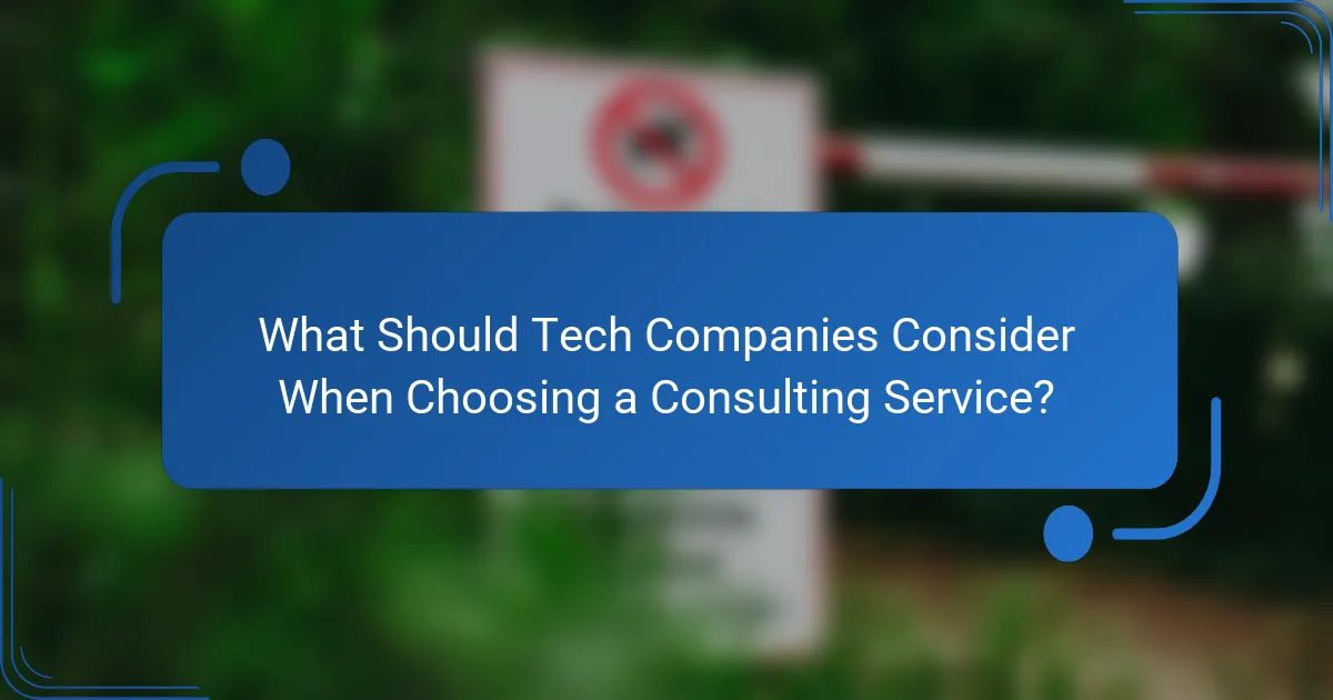 What Should Tech Companies Consider When Choosing a Consulting Service?